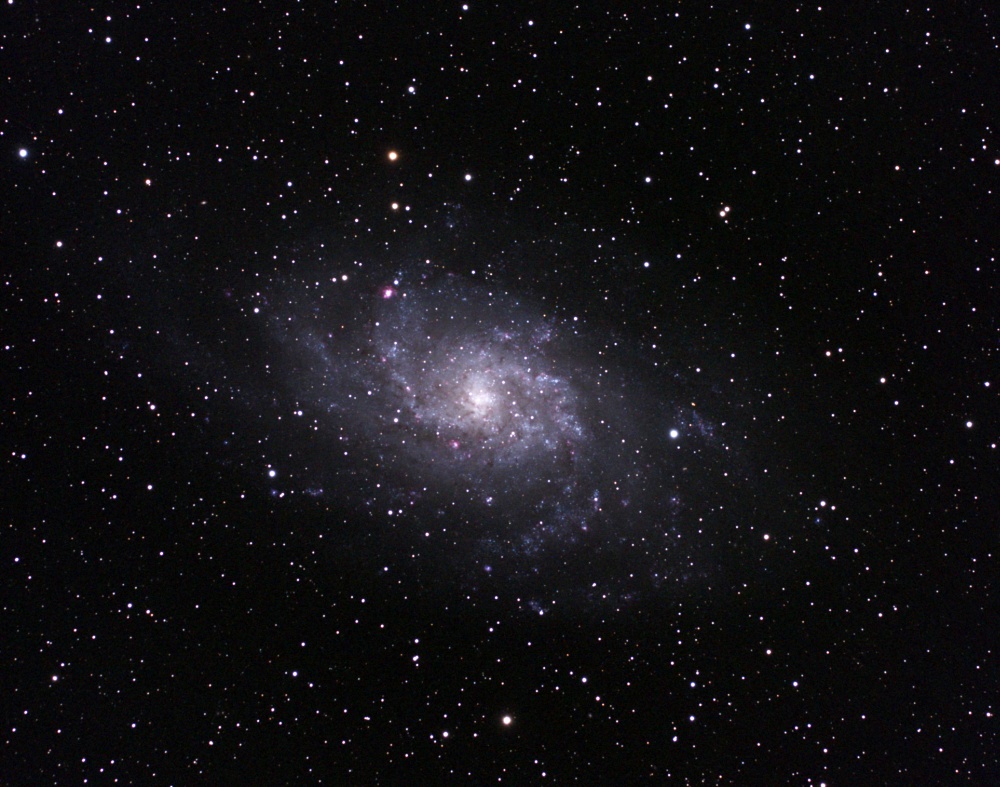 M33