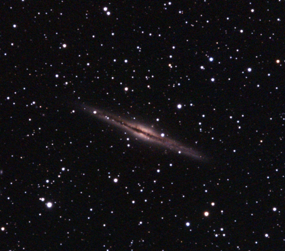 NGC891